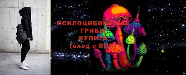 сатива Абаза