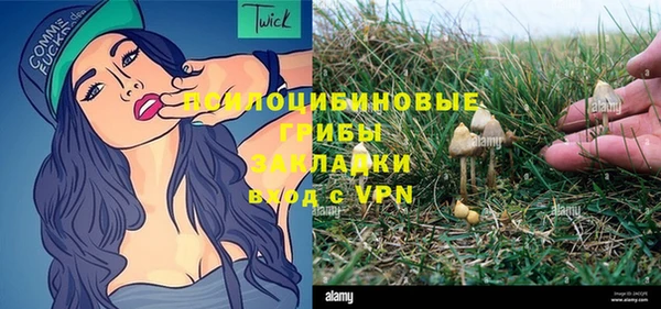 сатива Абаза