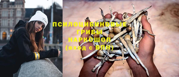 mdpv Медвежьегорск